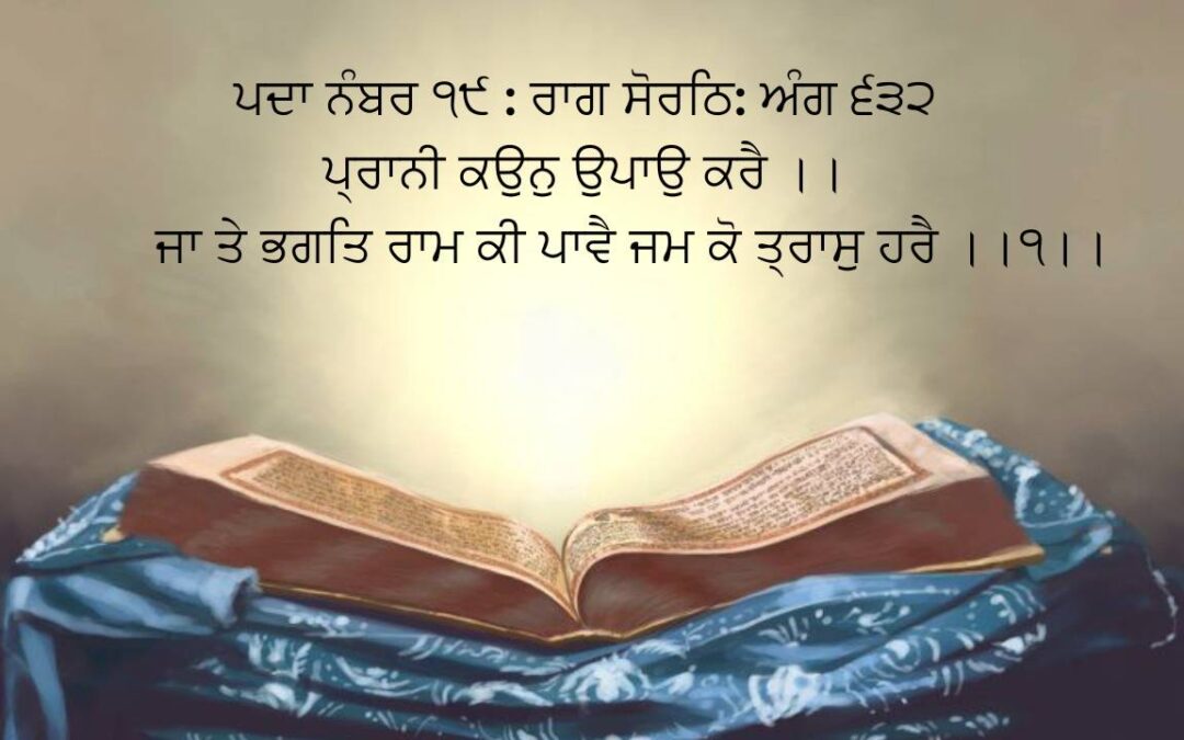 Padda No. 19