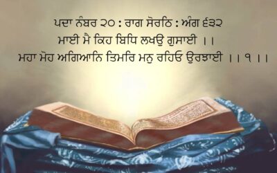 maa-ee mai kihi bidh lakha-o gusaa-ee